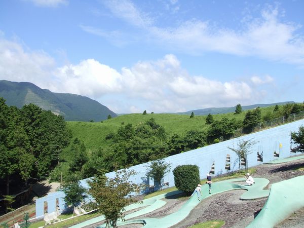 元気の森